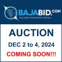 December 2024 Auction